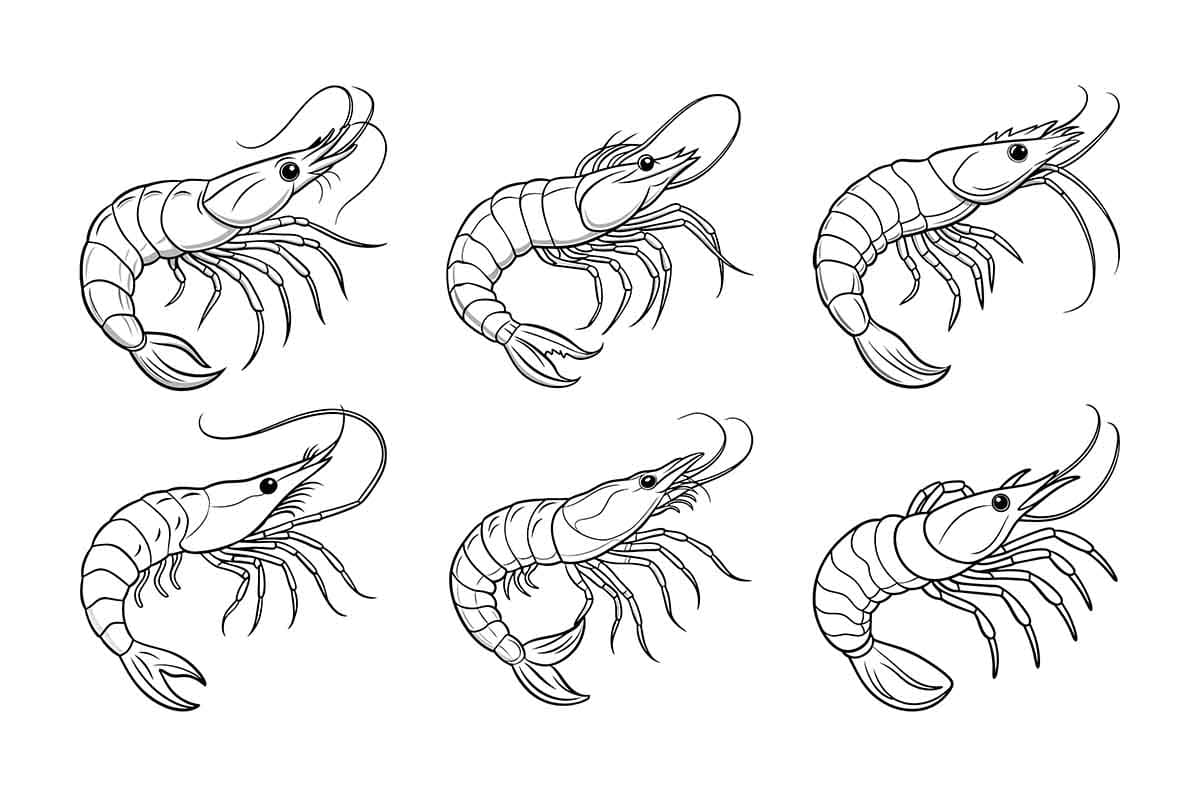 Hoa văn con tôm file vector mẫu số 515